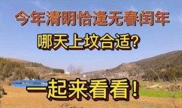 在线观看闰年,穿越时空的浪漫奇遇